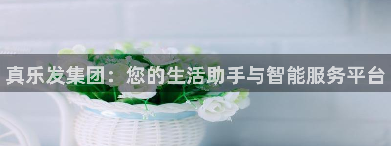 新城平台吧