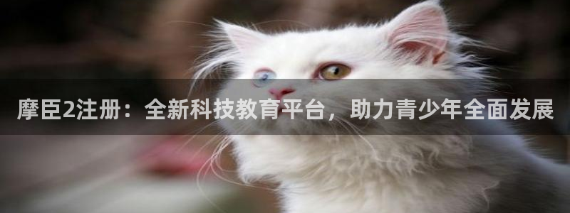 新城平台
