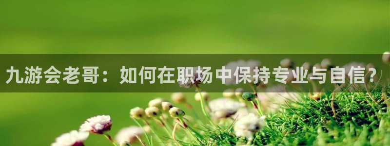 新城平台app下载安装
