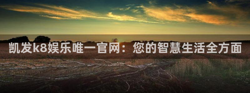 新城平台com