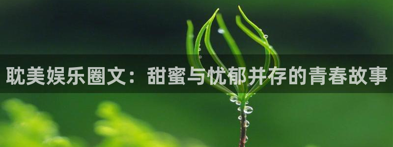 壹号玩家app下载