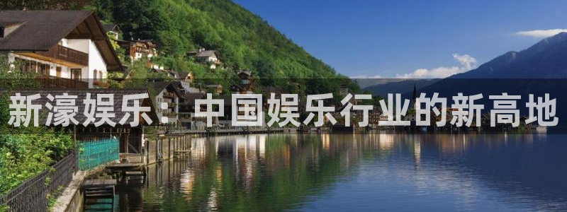 新城平台官网