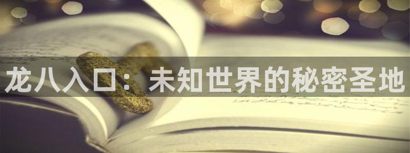 壹号下载安装