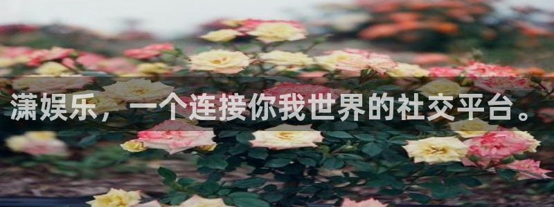 壹号大舞台28国际大舞台
