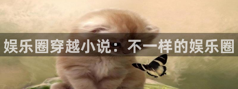 新城平台app下载地址