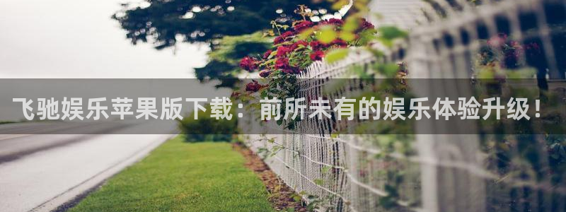 新城平台app官网下载