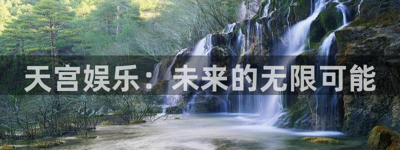 新城平台退款怎么退