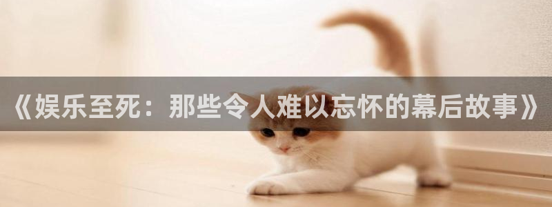 新城平台下载