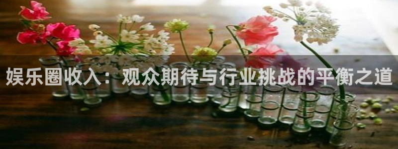 新城平台app