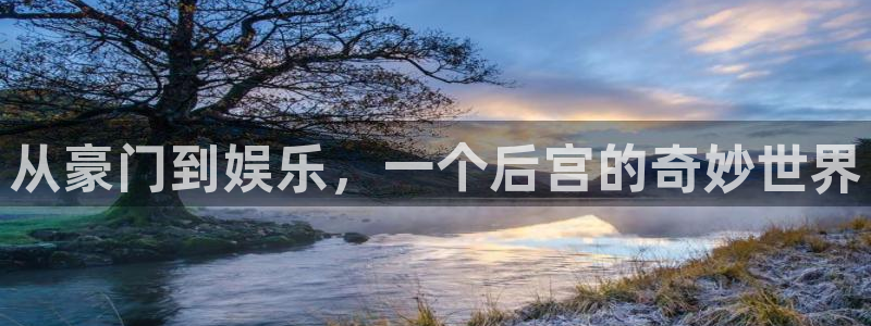 壹号电子娱乐app