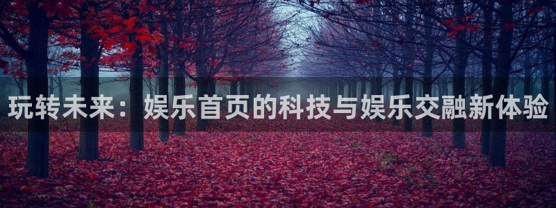 新城平台,apk.1