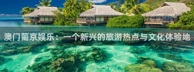 壹号大舞台有梦你就来