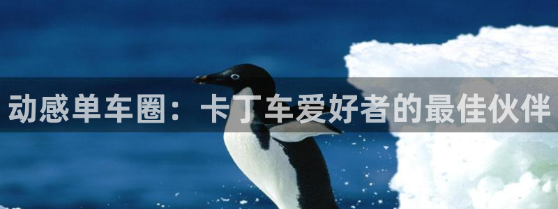 壹号电子娱乐app下载官网