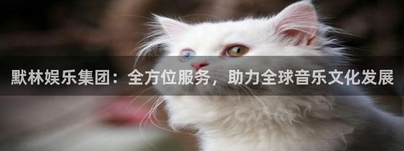 新城平台app官网