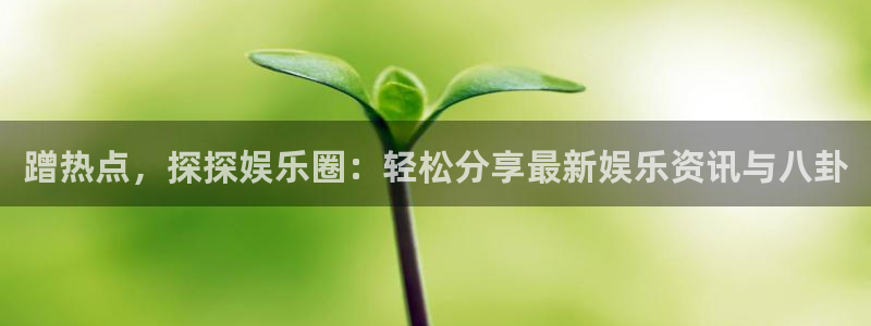 新城平台网站