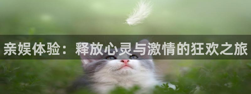 壹号平台下载