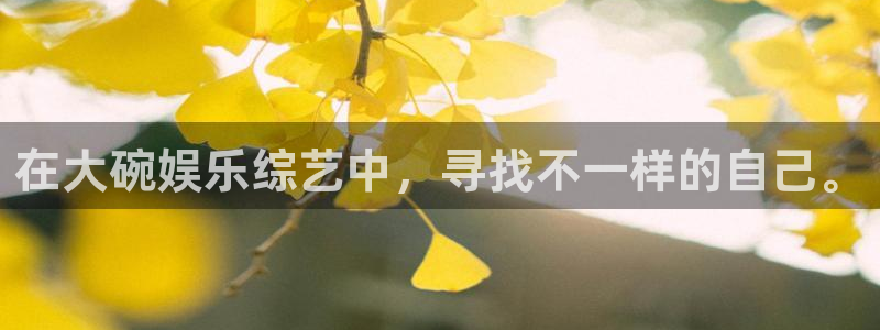 壹号电子娱乐app下载官网