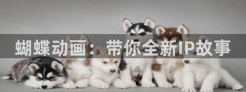 壹号大舞台28国际大舞台：蝴蝶动画：带你全新IP故事