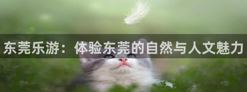 新城平台-ng大舞台,有梦你就来：东莞乐游：体验东莞的自然与人文魅力