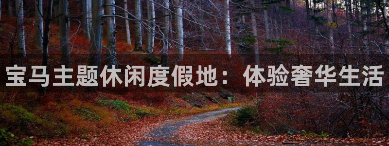 壹号电子娱乐app下载最新版：宝马主题休闲度假地：体验奢华生活
