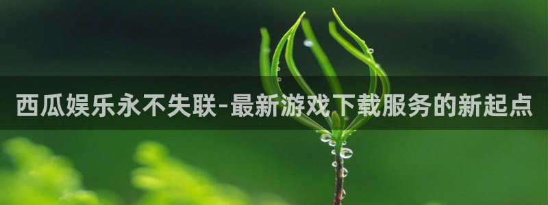 新城平台吧：西瓜娱乐永不失联-最新游戏下载服务的新起点