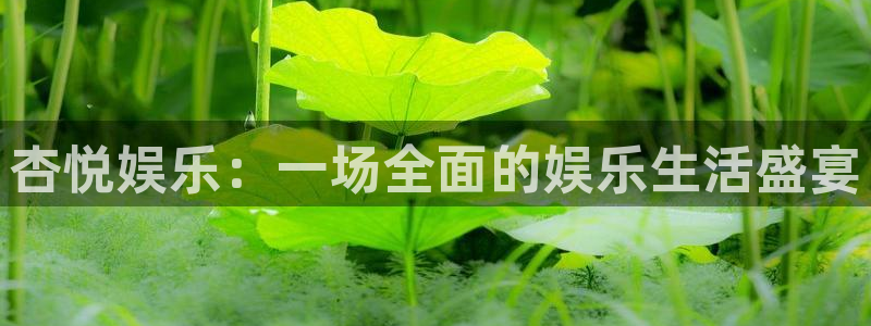 新城平台app下载安装最新版：杏悦娱乐：一场全面的娱乐生活盛宴
