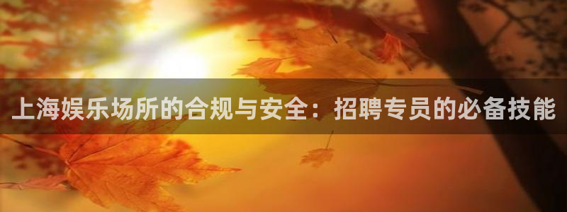 新城平台充值怎么退款：上海娱乐场所的合规与安全：招聘专员的必备技能
