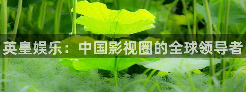 壹号app官网：英皇娱乐：中国影视圈的全球领导者