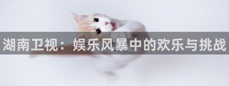 新城平台(com.youad.authst)：湖南卫视：娱乐风暴中的欢乐与挑战